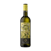 REGNO SAUVIGNON BLANC 0.75L