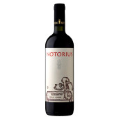 ROTENBERG MERLOT NOTORIUS 0.75L