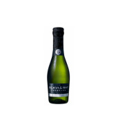 SCAVI RAY PROSECCO PICCOLO FRIZZANTE  