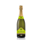 SPUMANT MILLENNIUM DEMISEC  0.75L